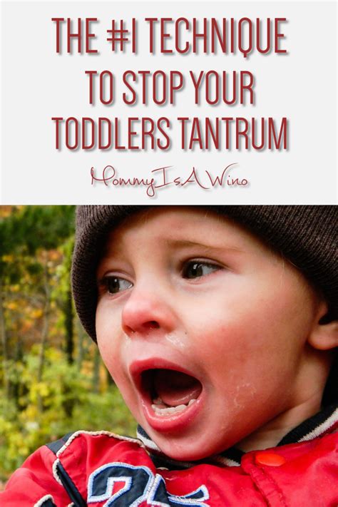 Toddler Tantrums How To Handle Them With Distraction
