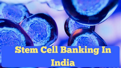 everything about stem cell and cost of stem cell banking in india complete guide smartmommies