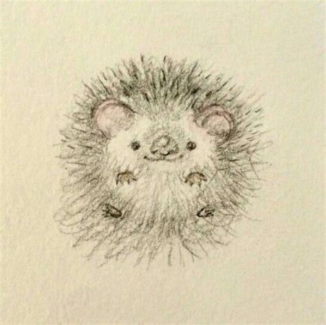 Adorable Hedgehog Drawing Zeichnungen Igel Malen
