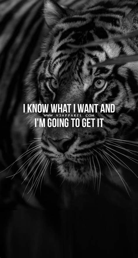 know what i want and i m gonna get it 736x1377 download hd wallpaper wallpapertip