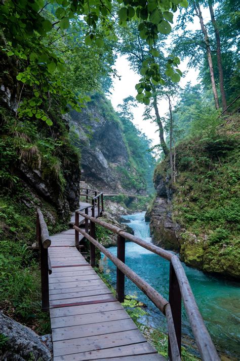 Vintgar Gorge Slovenia World Of Wanderlust World Of Wanderlust