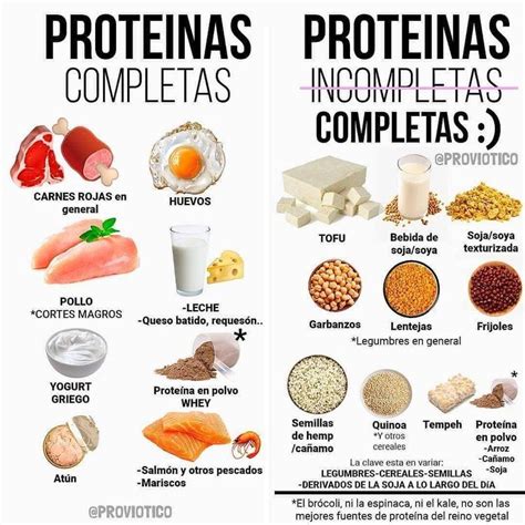 Tipos Y Ejemplos De Proteinas Abc Fichas Images