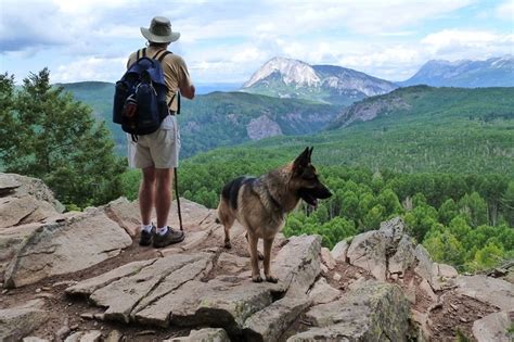 Hiking With Your German Shepherd A Preparation Guide Anything