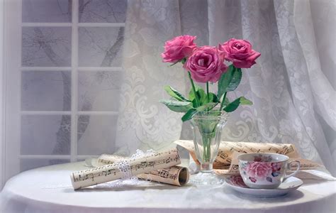 Still Life With Pink Roses Hd Wallpaper Background Image 1920x1219