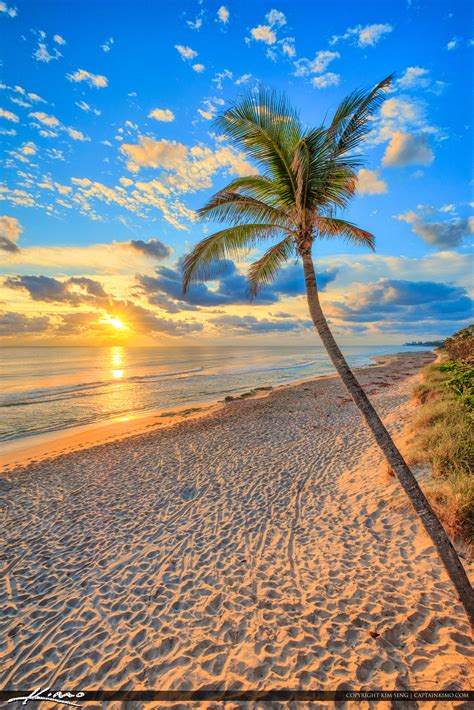 Akumal coconut palm tree beach in riviera maya of mayan mexico Jupiter Beach Resot Sunrise Coconut Tree at Beach | HDR ...