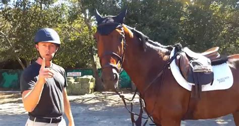 Follow @nascaronnbc to keep up to date on. "Hey, Can I Ride Your Horse?"