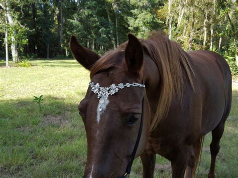 Faux Diamond Browband For Pony Horse Or Draft Equine Bling Etsy Canada