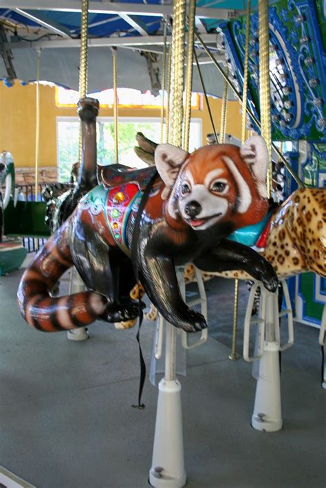 Turtle Back Zoo Carousel Red Panda The Endangered Specie Flickr