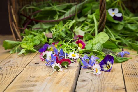 Growing Edible Flowers In Your Garden