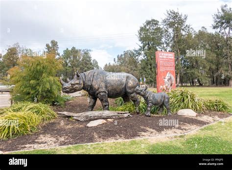 Statue Of A Rhinoceros And Baby At Entrance To Taronga Western Plains