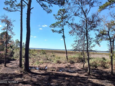 New Bern, Pamlico County, NC Timberland Property, Undeveloped Land