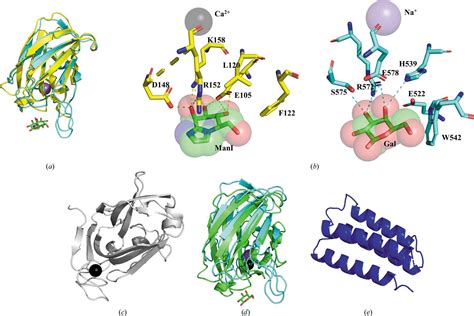 Iucr Structural And Functional Characterization Of A Multi Domain