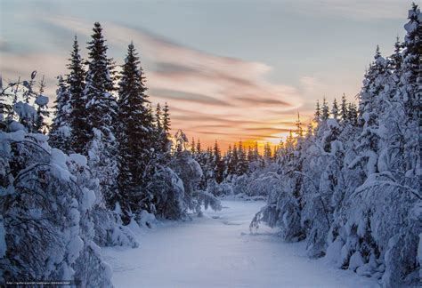 下载壁纸 日落 冬天 树 景观 免费为您的桌面分辨率的壁纸 4323x2958 — 图片 №594696