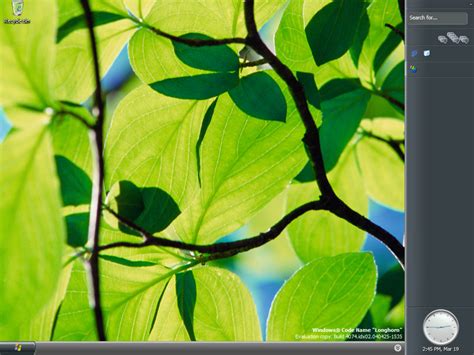Windows Longhorn Build 4074 Betawiki