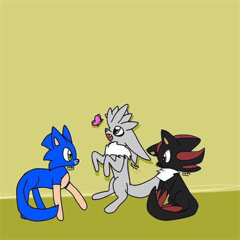 Sonic Catspets Au Wiki Sonic The Hedgehog Amino
