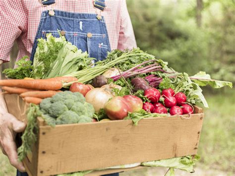 Which Is Better: Conventional Or Organic Farming? - Ask Dr. Weil
