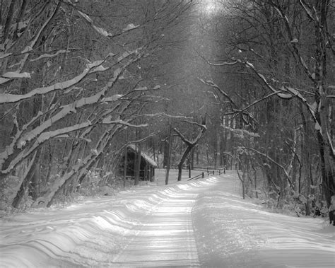 Winter Photography Winter Print Black And White Snow Print Cabin In