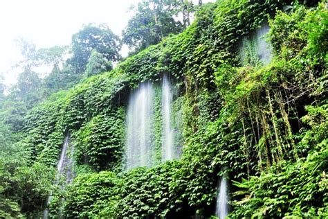 Tahukah kalian gengs, kebanyakan wisatawan atau penduduk warga lombok kadang hanya mengetahui 2 air terjun indah dikawasan wisata desa aiq berik ini, yaitu air terjun benang stokel dan benang kelambu. Air Terjun Benang Kelambu - Picture of The Bale Lombok ...