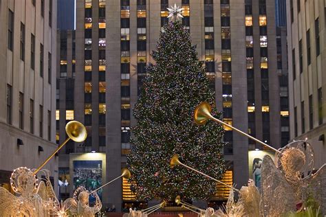 Activities will continue throughout the day outdoors on the plaza and indoors at cornerstone at the plaza. 10 Fakten zum Weihnachtsbaum in New York