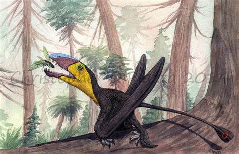 Shipped with usps priority mail</p> Prehistoric Beast of the Week: Dimorphodon: Prehistoric ...