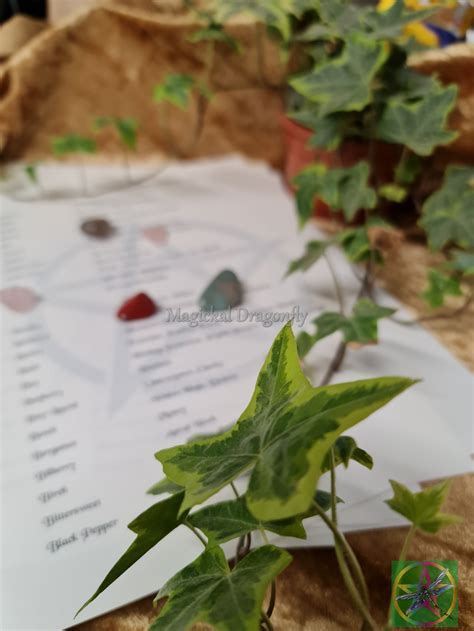 List of Herbs and Magickal Uses 146 Herbs List of Herbs - Etsy UK