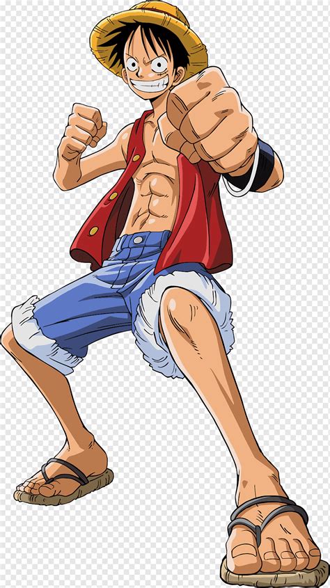 Luffy Ans Apres Png Personnage One Piece Personnage Luffy The Best