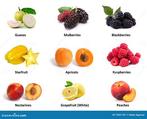 Set Of High Protein Fruits Stock Illustration Illustration Of