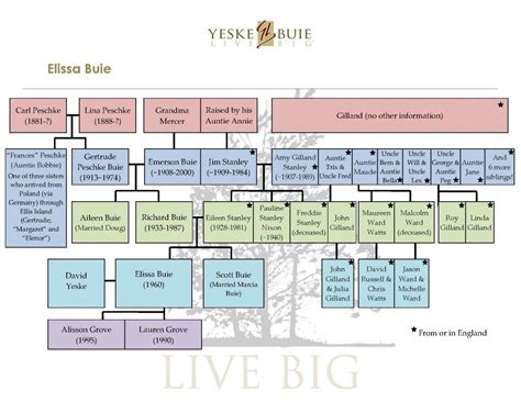 Check spelling or type a new query. Climbing the Family Tree