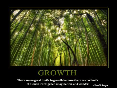 Growth Wallpapers Wallpaper Cave