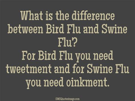 Difference Between Bird Flu And Swine Flu Funny Sms Quotes Image