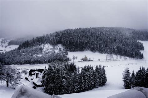 Vacation Black Forest Winter Landscape View Vacation Blackforest