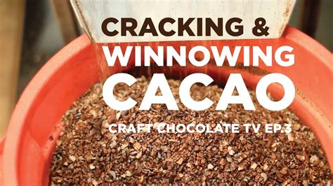 Cracking And Winnowing Cacao Episode 3 Craft Chocolate Tv Youtube