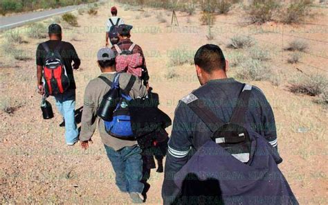 Más De 500 Personas Han Sido Rescatadas Del Desierto Inmigrantes