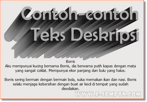 Penjelasan dan Contoh Teks Deskripsi Singkat | KUMPULAN SOAL | MATERI