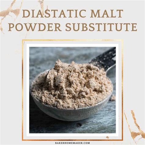 10 Substitutes For Diastatic Malt Powder Substitute
