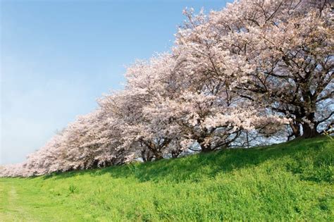 We did not find results for: Pin on Gardening