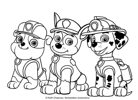 Join ryder and his paw patrol friends on their adventures to protect the community. Rubble, Chase and Marshall. coloring page