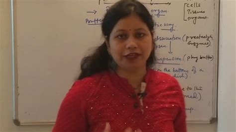 Check spelling or type a new query. Animal Cell Culture- Primary Cell Culture - YouTube