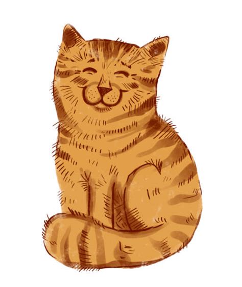 Ginger Tabby Cat Pictures Illustrations Royalty Free Vector Graphics