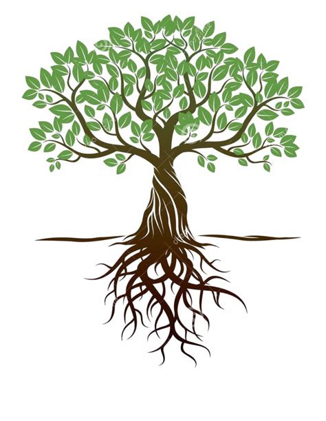 Tree Drawing Tree With Roots Drawing Tree Illustration