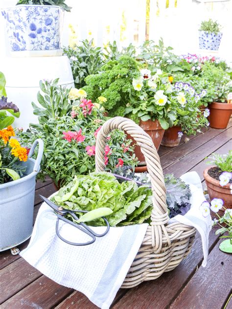 How To Grow A Kitchen Garden In Pots My Lovely Little Lunch Box
