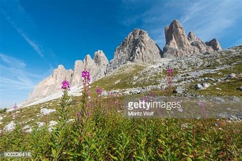 Three Peaks Dolomites Of Sesto South Tyrol Trentinosouth Tyrol