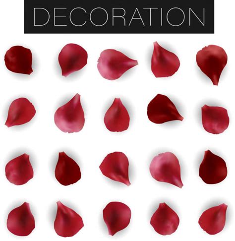 Set Of Red Rose Petals Stock Vector Image By ©ivlena 135913158