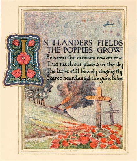 In Flanders Fields Wwi Poem By Mccrae Text Red Poppy As Symbol