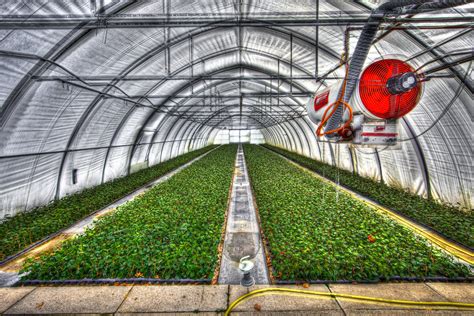 Commercial Horticulture Agriculture And Natural Resources