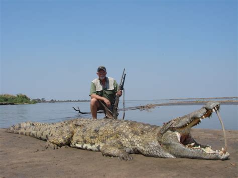 Crocodile Hunts