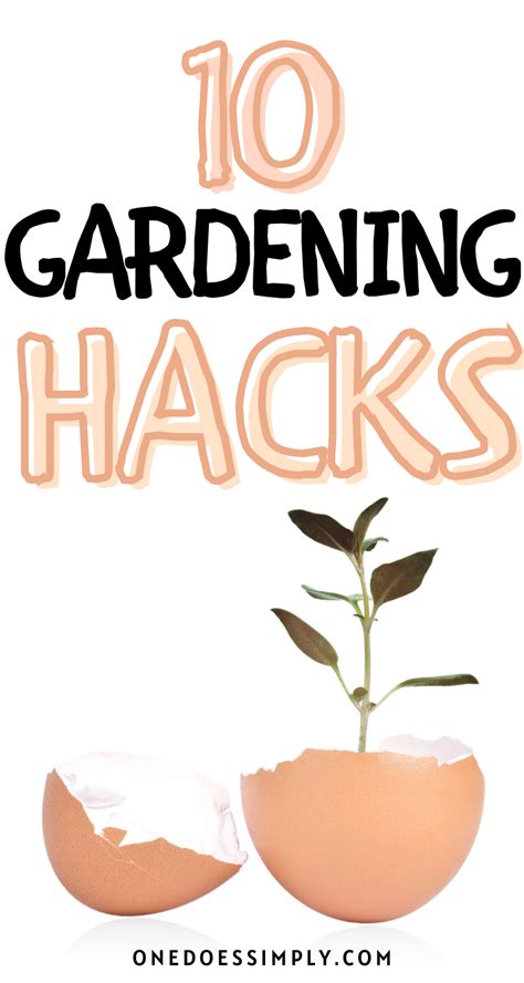 if you love gardening for cheap don t forget to check out these gardening hacks that you can do