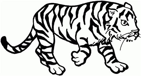 Malayan Tiger Page Coloring Pages