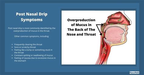 Post Nasal Drip Symptoms Causes And Home Remedies