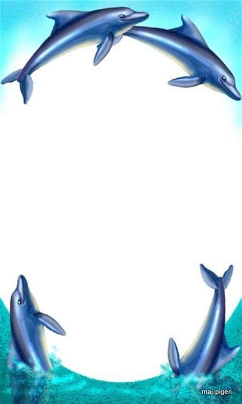 dolphin frame picture borders borders  paper